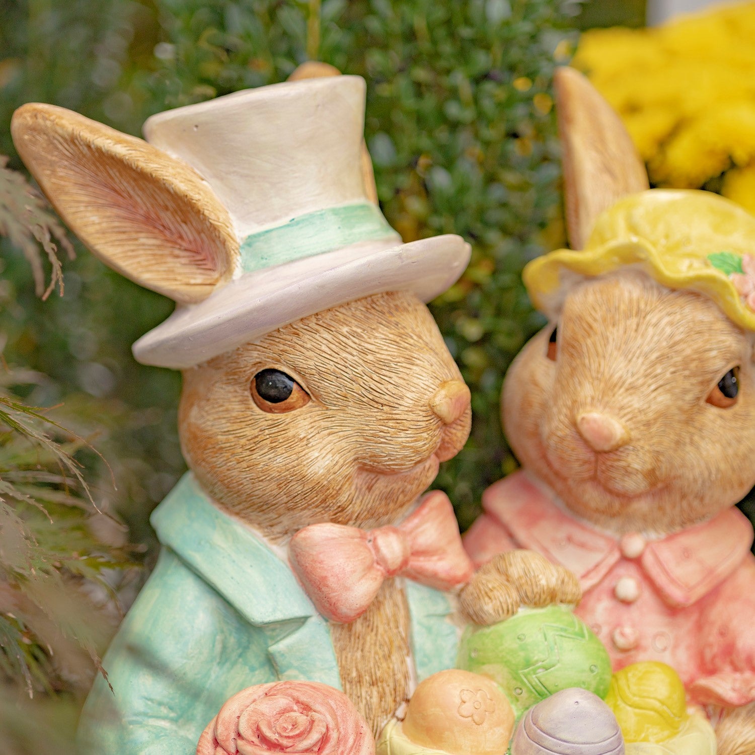 Fancy Rabbit Colors 22